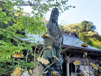 ホテル ソフィア 浜松 ラブホテル 観光情報