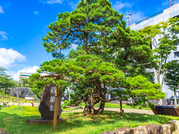 ホテル ソフィア 浜松 ラブホテル